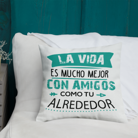 cojin-kembilove-amigos-como-tu